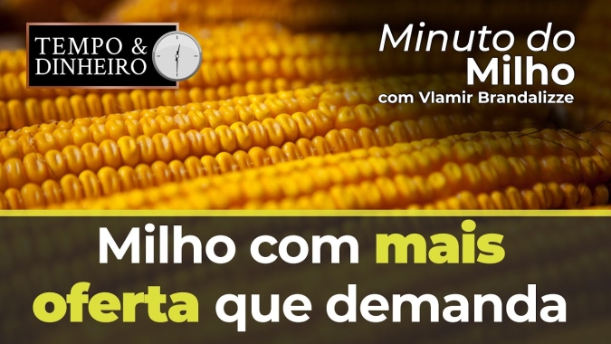 Milho com mais oferta que demanda