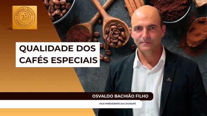 Especialíssimo 2025 registra aumento no número de lotes  recebidos