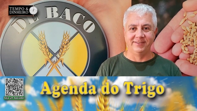 Valorização cambial, relatório do USDA e Ramadan...