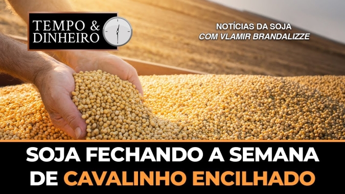 Soja fechando a semana de cavalinho encilhado