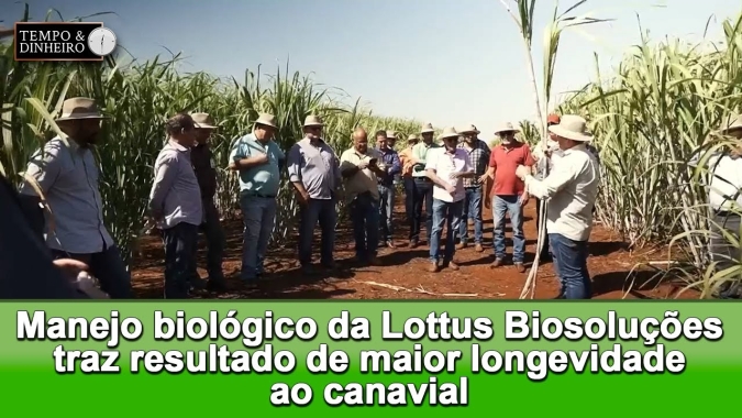Manejo biológico da Lottus Biosoluções traz resultado de maior longevidade ao canavial