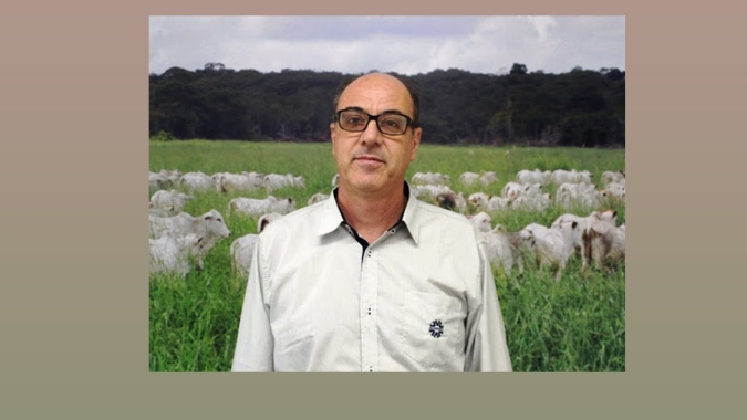 Boi gordo no MT começa a sentir a entressafra e preços ainda são tímidos