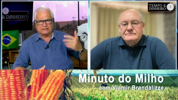 Milho em alta e oportunidades