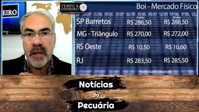 Boi gordo, sem indicação de alta, de olho no consumo de carne no início do mê