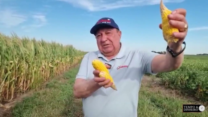Milho nos EUA tem produtividade comprometida pela seca aponta Labhoro