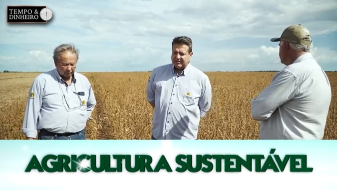 Sojicultores de Roraima alcançam altas produtividades graças a genética da FT Sementes