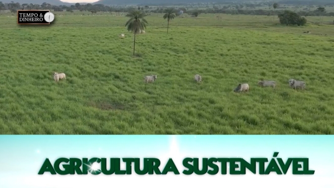 Engenheiro Agrônomo Ricardo Silva aponta os caminhos para o ILPF