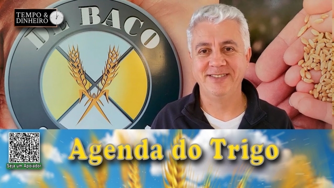 Medo em enviar navios para a zona de guerra, leva compradores a buscar alternativas para importação de trigo