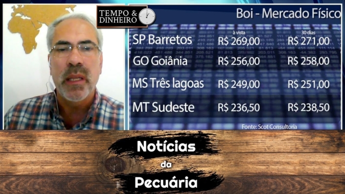 Boi gordo e carne tem pressão adicional de bloqueios em estradas observa Scot Consultoria