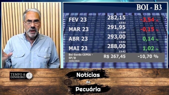 Boi gordo perde R$ 32@ no indicador Esalq SP. Indústria remaneja abates