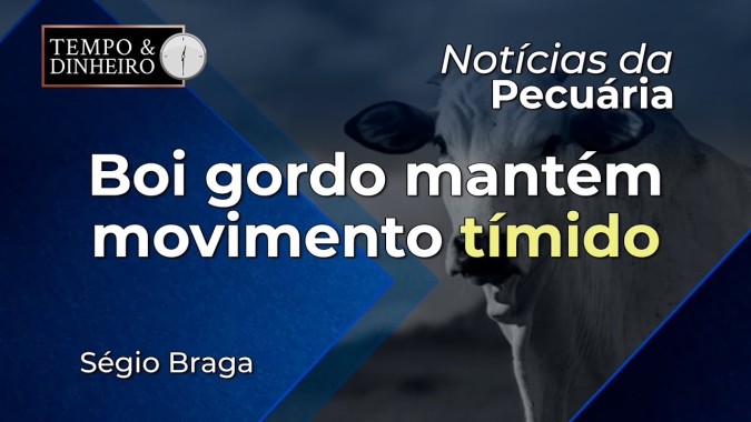 Boi gordo mantém movimento tímido com altas pontuais e baixa liquidez na B3