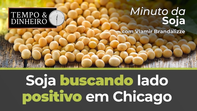 Soja Buscando lado positivo em Chicago