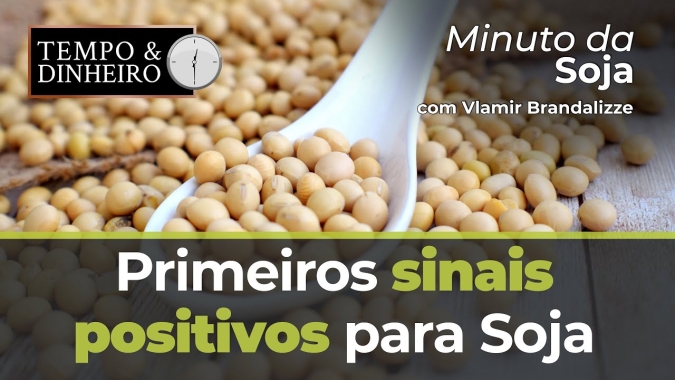 Primeiros sinais positivos para Soja