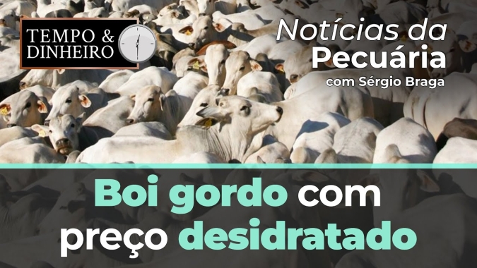 Boi gordo com preço desidratado  e sem muita emoção para o dia das mães