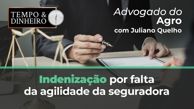 Como ter indenização por falta da agilidade da seguradora que tomou seu tempo e não resolveu?