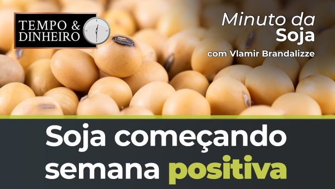Soja começando semana positiva no Brasil
