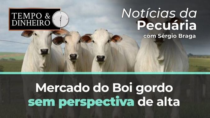 Boi gordo com mercado sem perspectiva de alta no curto prazo