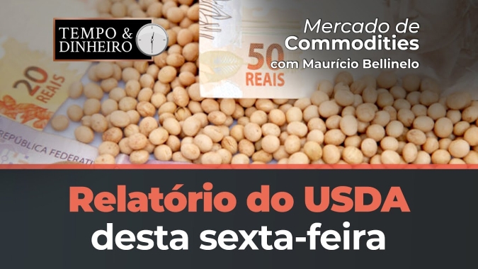 Relatório do USDA desta sexta-feira não deve trazer grandes mudanças