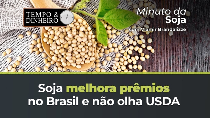 Soja melhora prêmios no Brasil e não olha USDA