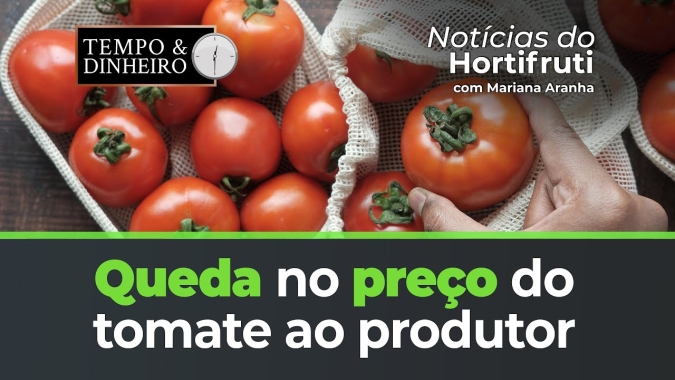 Queda no preço  do tomate ao produtor