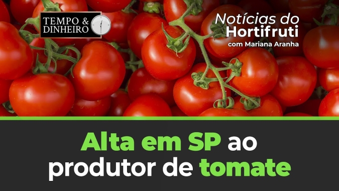 Alta registrada em SP ao produtor de tomate
