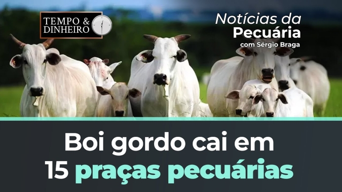 Boi gordo baratinho: na B3 tem ligeira alta com indústria em posição liquida comprada