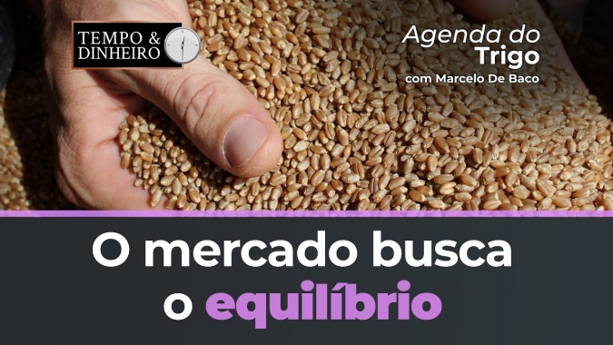 O mercado busca o equilíbrio, vários fatores estão sobre a mesa