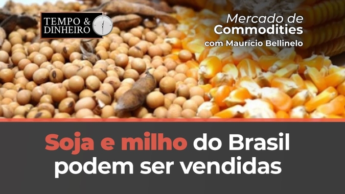 Soja e milho do Brasil podem ser vendidas, excepcionalmente, junto com a entrada da safra americana