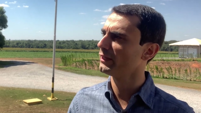 Anomalia da soja é doença fúngica e patógeno não é novo, indica pesquisa