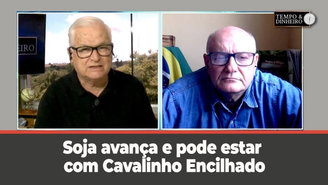Soja avança e pode estar com Cavalinho Encilhado