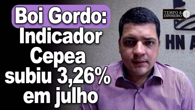 Boi gordo abre agosto com estabilidade mas de olho nas escalas de abate. Cepea subiu 3,26% em julho