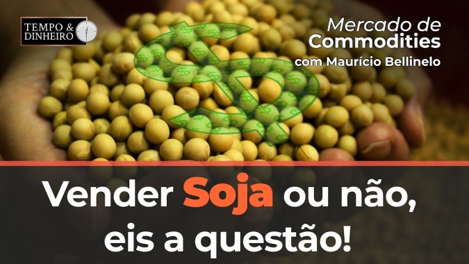 Soja tem forte pressão da safra. Vender ou não, eis a questão!