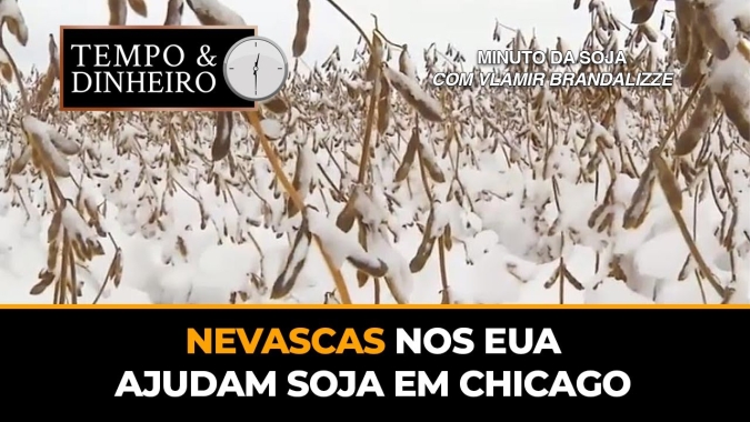 Nevascas nos EUA ajudam Soja em Chicago