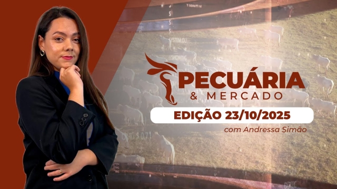 Mercado do boi ainda tem espaço para novos reajustes, mas é importante acompanhar o desempenho da demanda externa e interna nos próximos meses