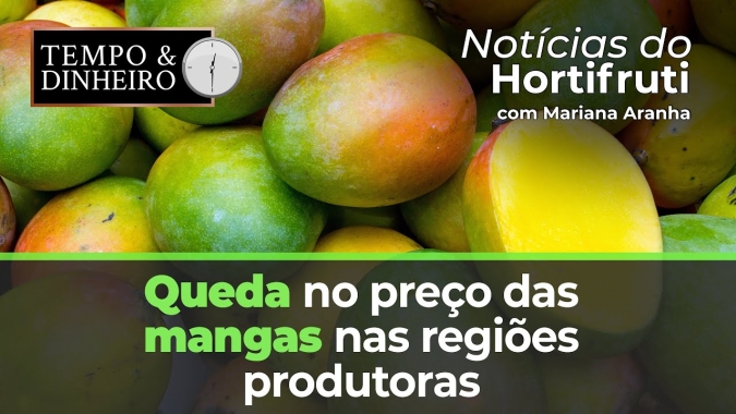 Queda no preço das mangas nas regiões produtoras, feriado enfraquece a demanda