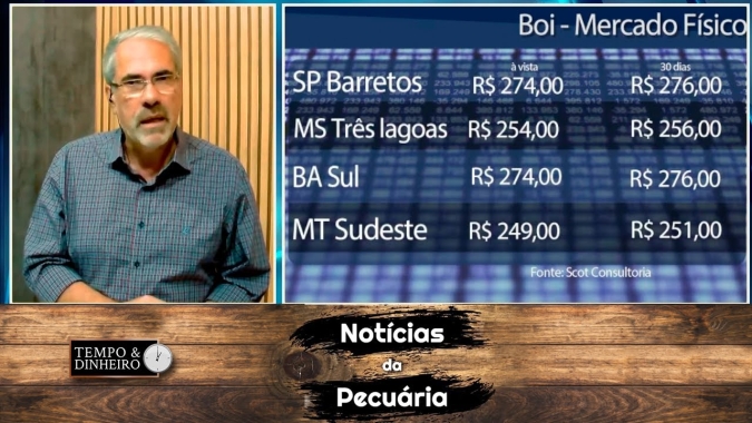 Boi gordo largado à espera de fôlego e reação em 2023