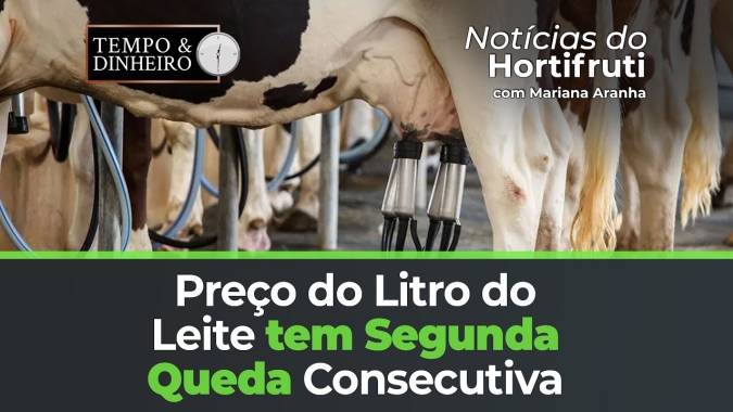 Boletim registra segunda queda consecutiva no preço do litro do leite