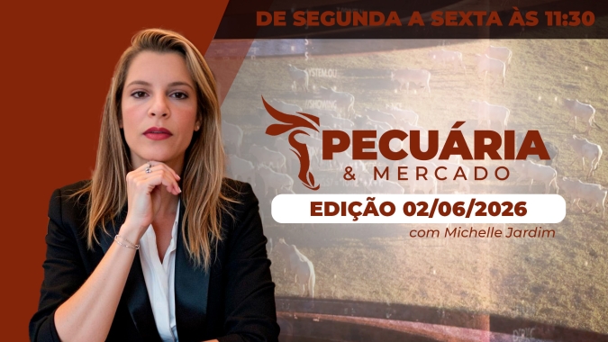 Boi reage e novo alerta preocupa a pecuária brasileira