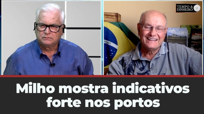 Milho mostra indicativos forte nos portos