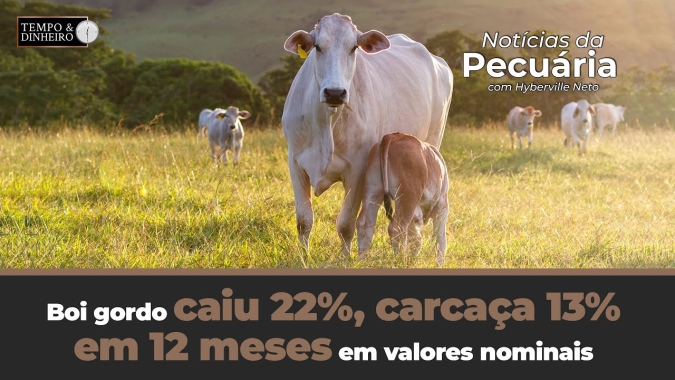 Boi gordo caiu 22%, carcaça 13% em 12 meses em valores nominais. Mercado está lateralizado