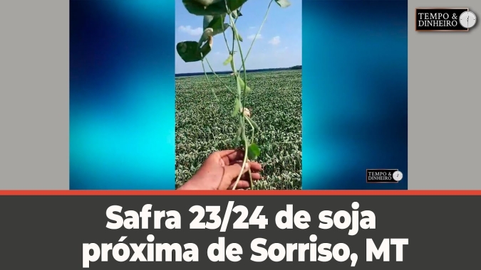 Safra 23/24 de soja próxima de Sorriso, MT, registra Gustavo Calgaro