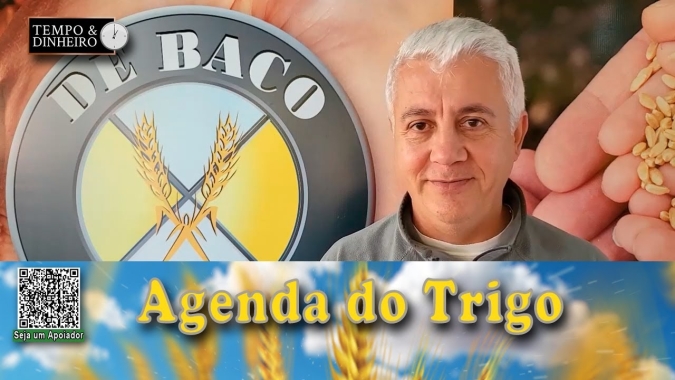 O mercado se esfria na espera do relatório do USDA...