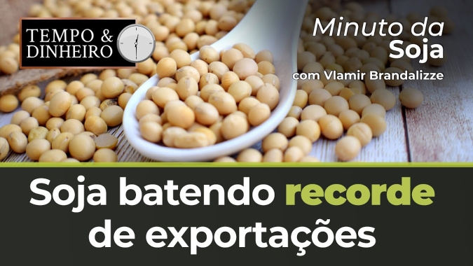 Soja batendo recorde de exportações