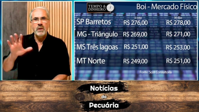 Boi gordo na gangorra não tem recomposição de preço