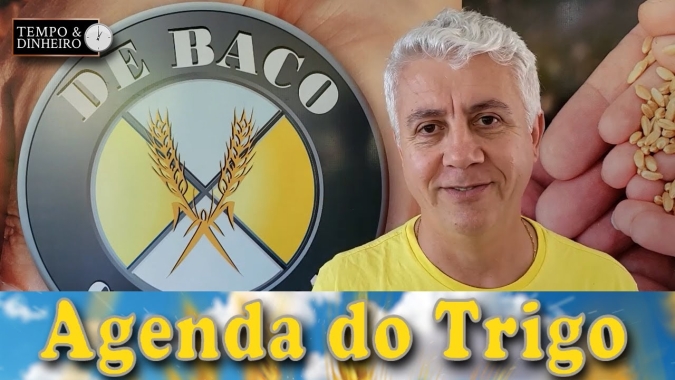 Mercado do trigo: Especulação sobre os preços no Mar Negro