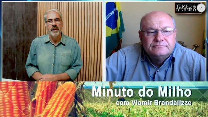 Milho segue com boas oportunidades