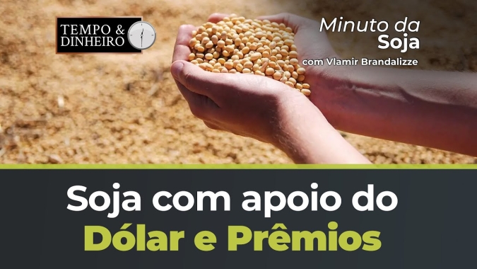 Soja com apoio do Dólar e Prêmios