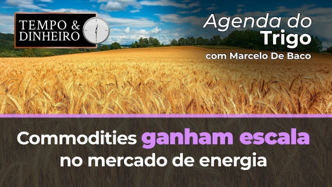 As commodities ganham escala no mercado de energia, as moedas e o clima, carregam o trigo para cima