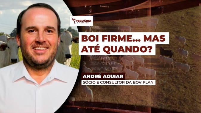 Mercado do boi gordo entra em compasso de espera, enquanto China ameaça equilíbrio dos preços