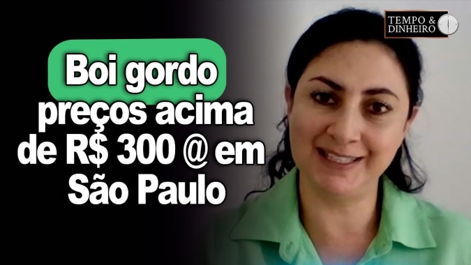 Boi gordo com restrição de oferta e preços acima de 300 @ em SP, informa Shirley Menezes, do CEPEA